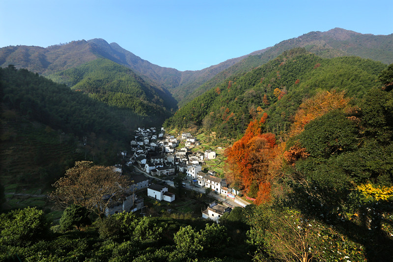 皖休寧汪村鎮：「紅魂綠韻」畫振興