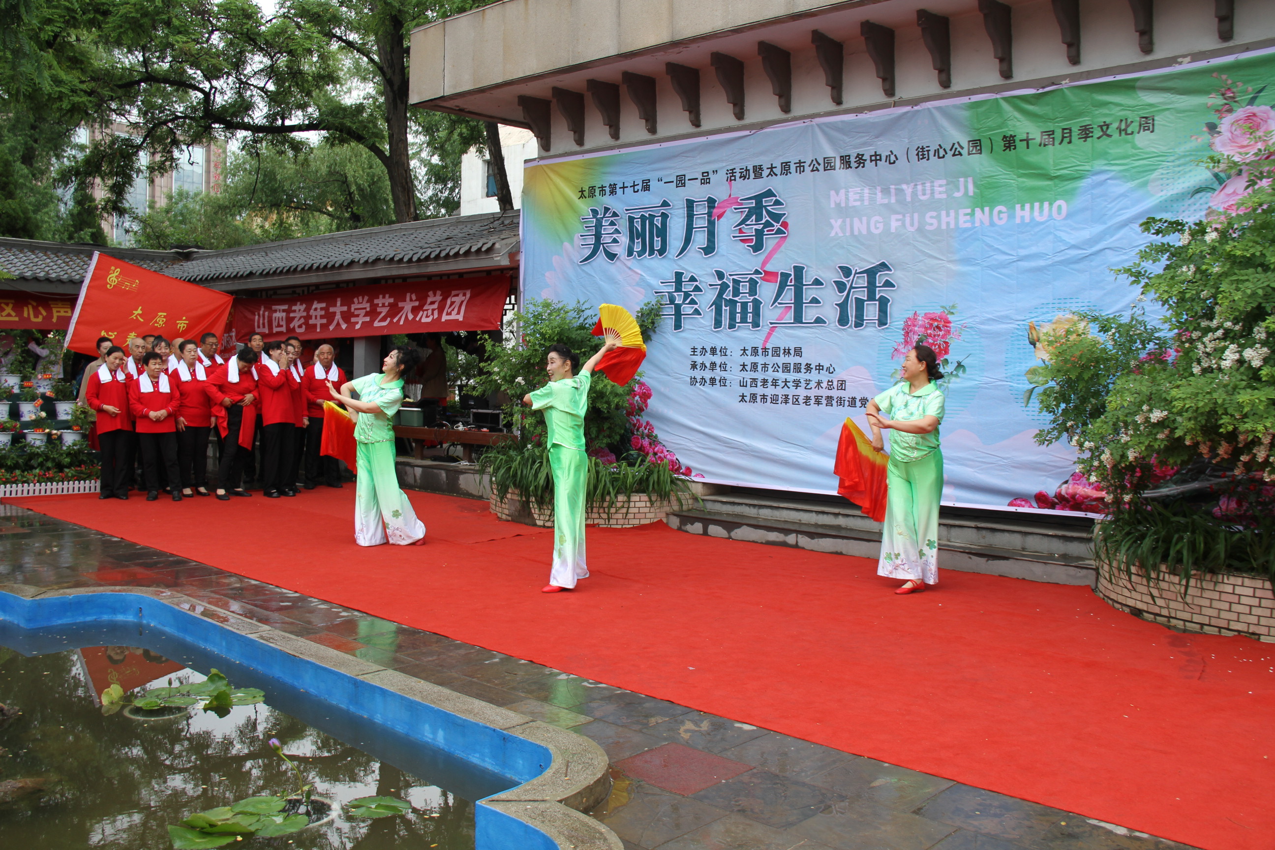 山西太原：月季綻芳華  邀市民共赴「幸福花約」