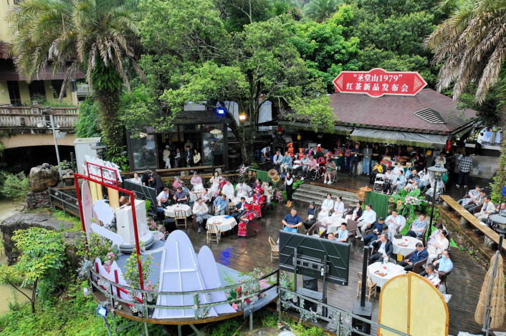 金秀「聖堂山1979」紅茶品牌發布 茶旅融合助力鄉村振興