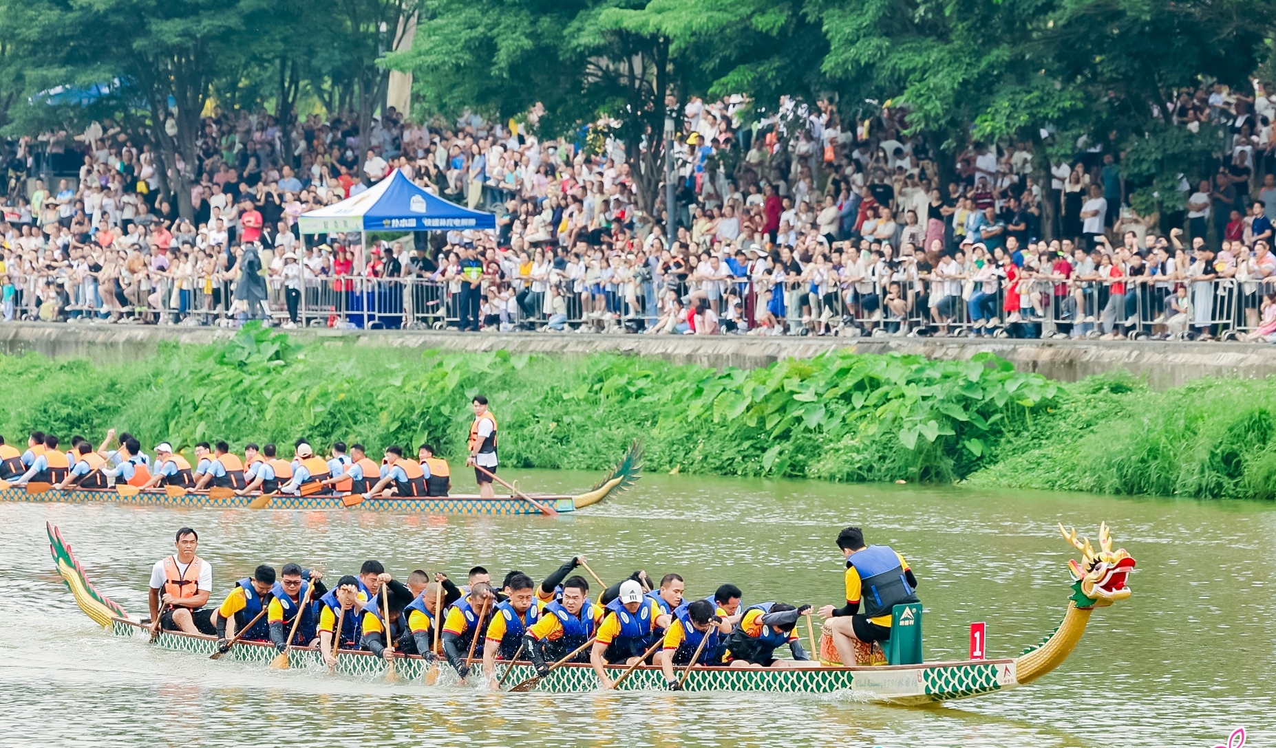 深圳光明區社區龍舟賽獲勝者出爐