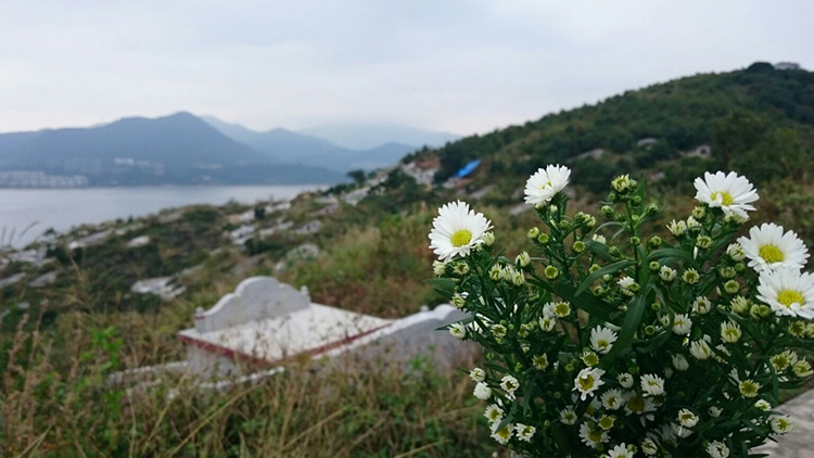 政府對山邊非法殯葬採取聯合行動 移除19個非法墳墓或金塔