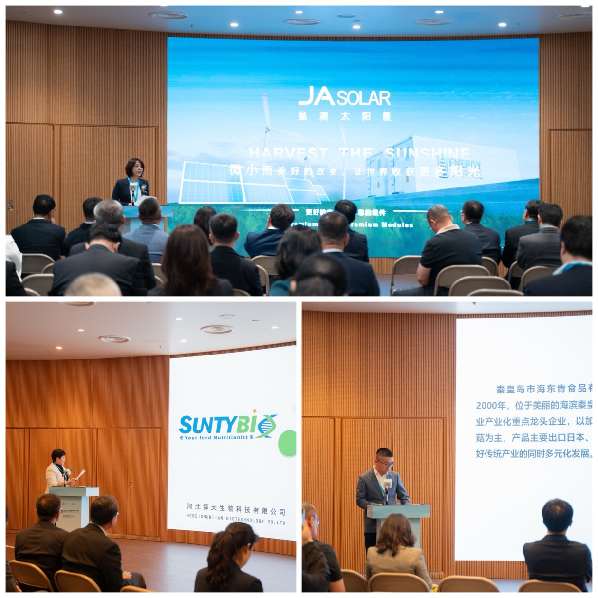 中國（河北）-日本經貿合作推介對接會成功舉辦 