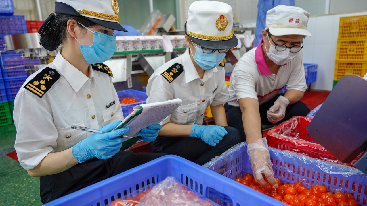 端午近 海外粽香濃 廣州海關助逾150噸應節食品保「鮮」出口