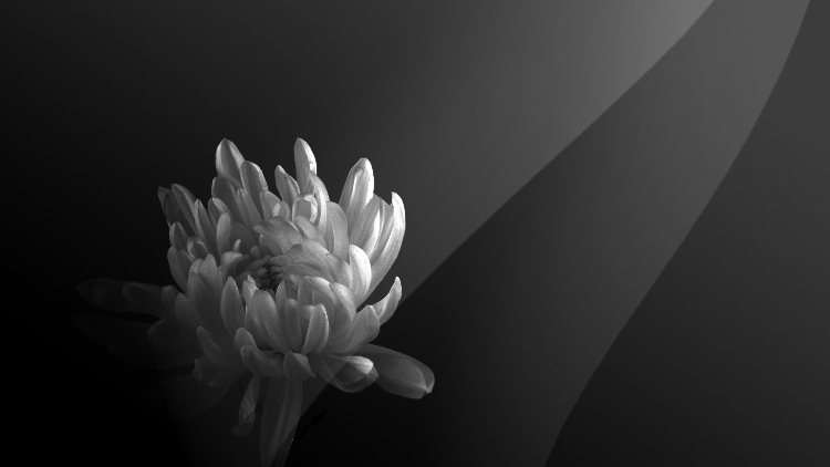 山東高密化工廠爆炸 已致5死6失聯