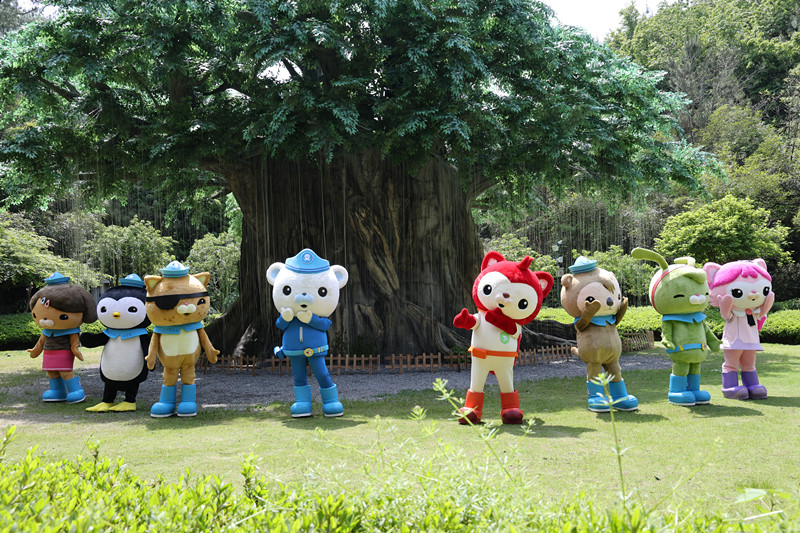 有片 | 黃山風景區：花仔話廉共守「端午清風」