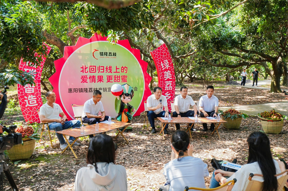 有片︱撬動產業「接二連三」融合發展 惠州惠陽鎮隆荔枝「賣全球」