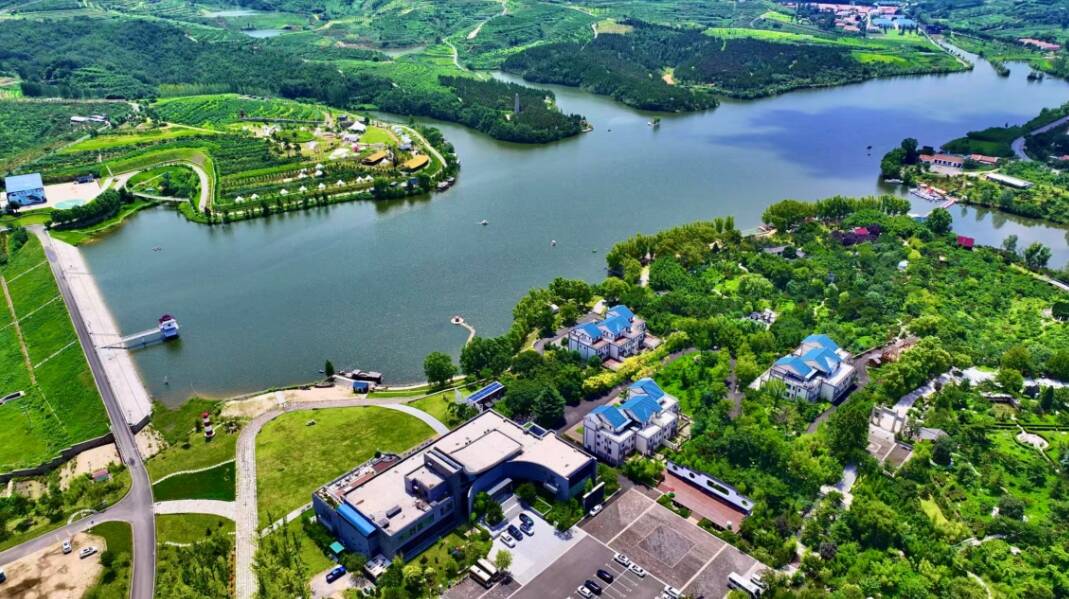 山東「桃花島」藝術活化鄉村緣何被日本友人推介？