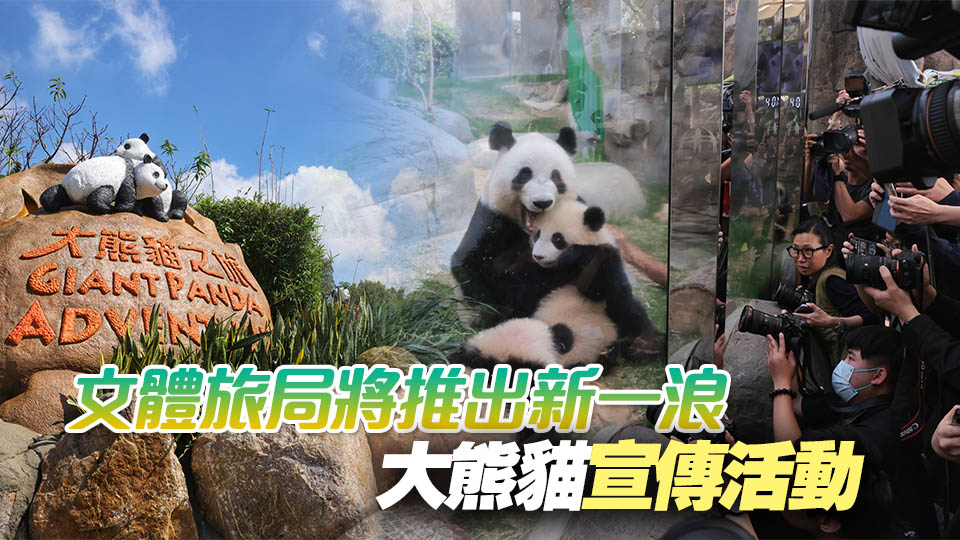 市民旅客對大熊貓反應熱烈 海洋公園入場人次按年增近兩成