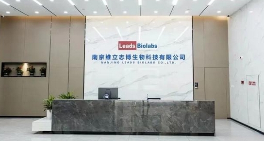 八旬醫學博士攜手夥伴衝刺IPO 維立志博唯一客戶遞表前終止合作