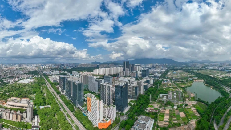 深圳以清朗網絡生態助力打造一流營商環境