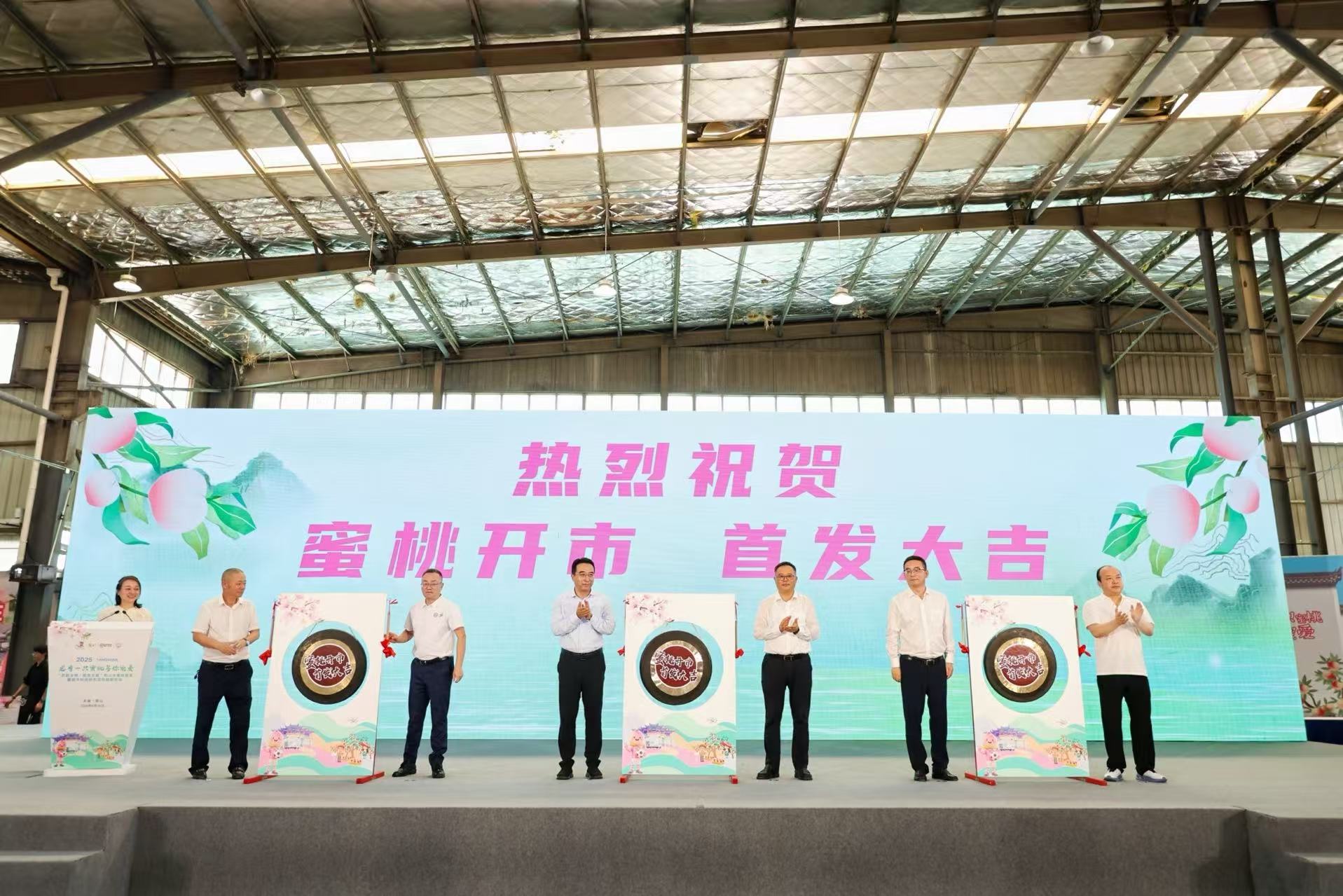 陽山水蜜桃今夏首發 出口提質增效