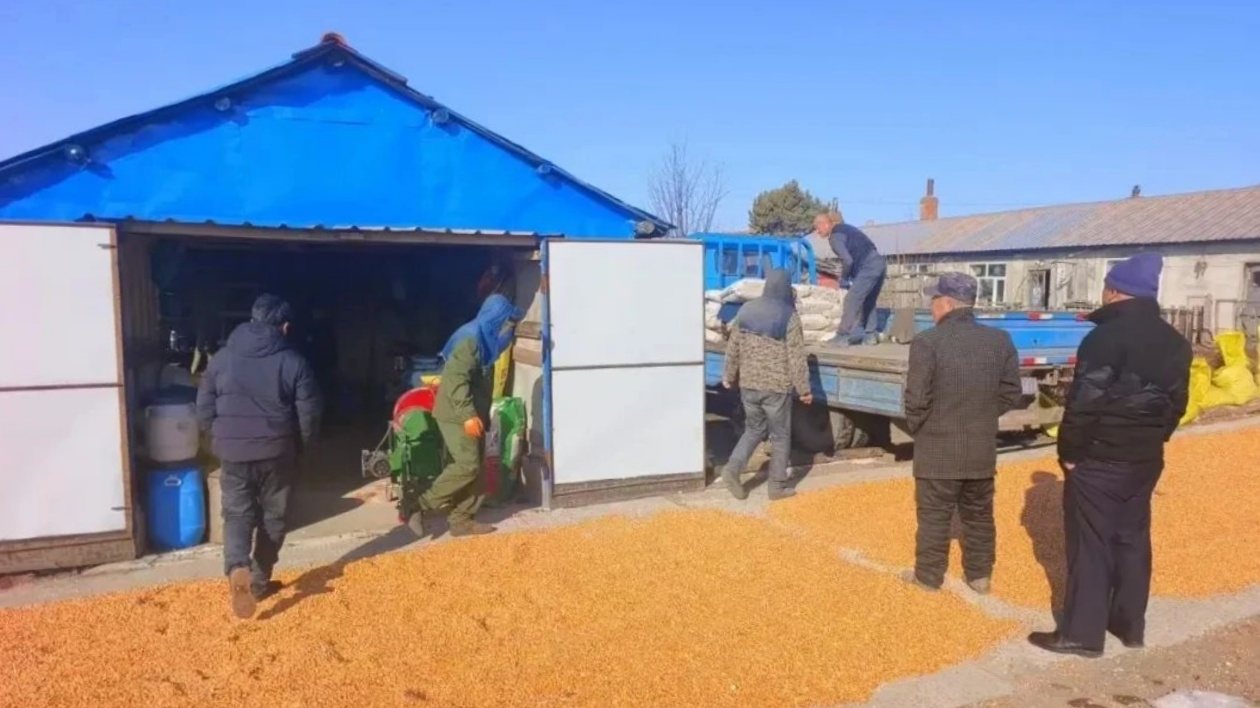 龍江森工集團：春耕生產全面完成