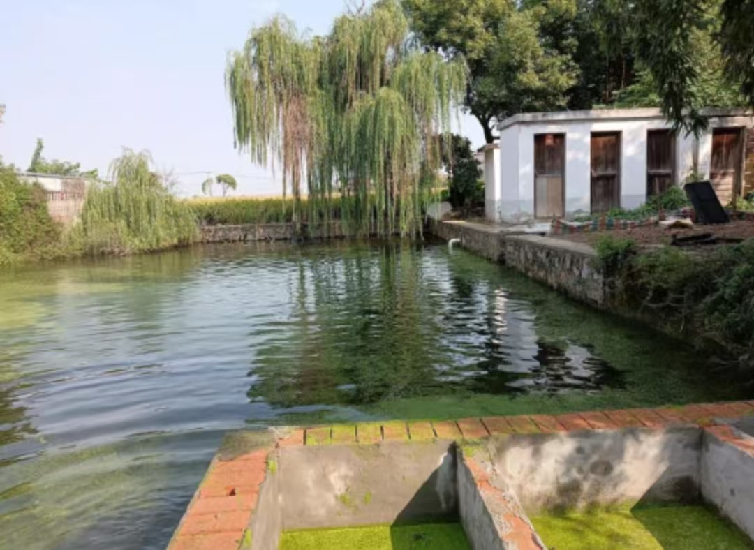 皖蕪湖鳩江區沈巷鎮：「黑臭河」變身「幸福渠」