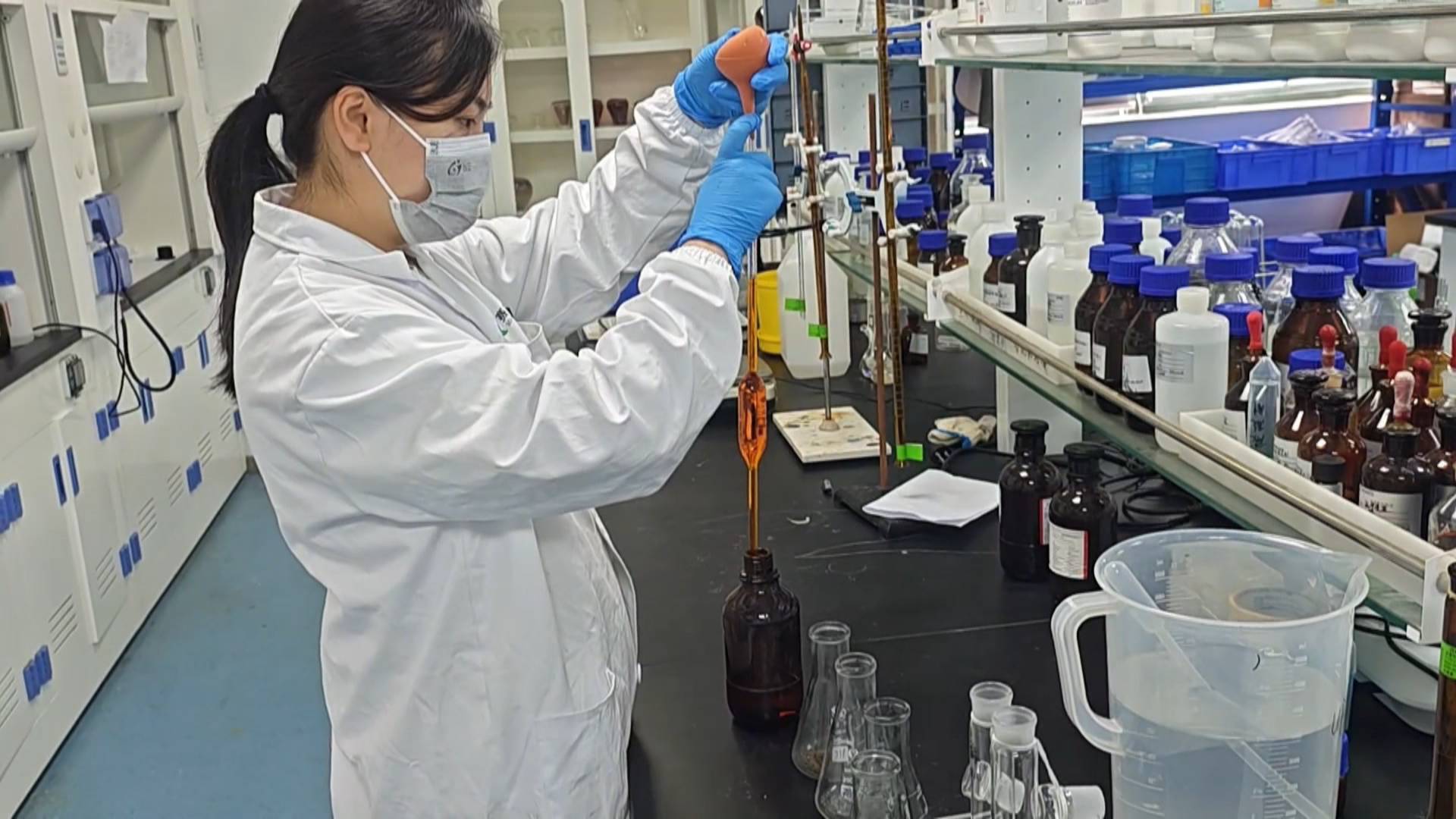 搶抓稻油輪作窗口期  皖黟縣夯實「耕基」築好糧倉