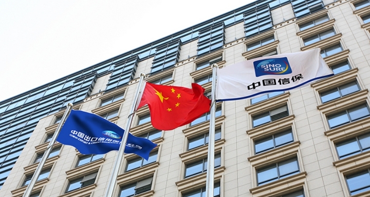 中國信保1至5月短期出口信用保險承保金額同比增長14.6% 