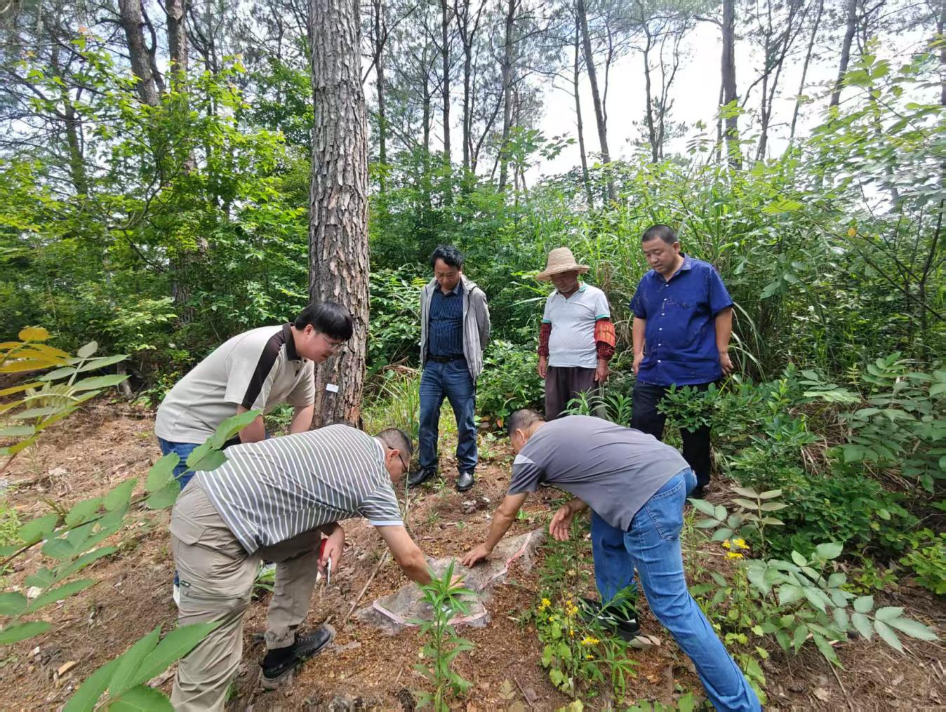 皖黟縣宏潭：築牢生態屏障 護航綠色發展