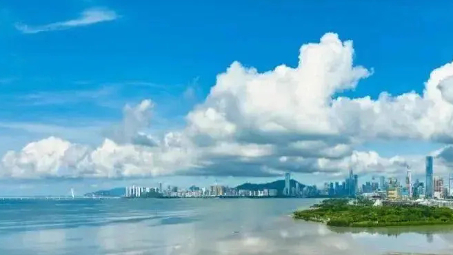 深圳海洋經濟去年總產值5409億元佔GDP14.7% 