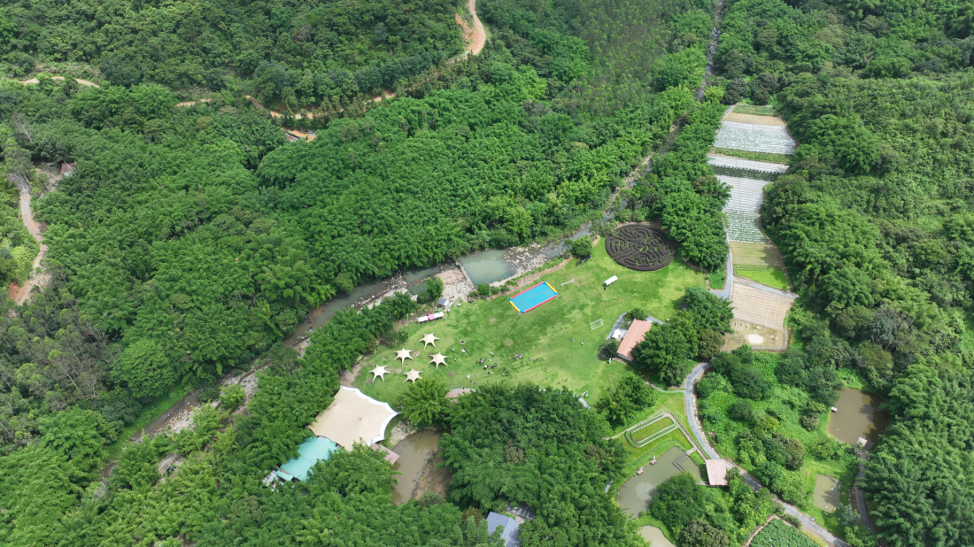 有片︱【百千萬一齊港】蘭門空心村蝶變「美學樣板」 博羅徐田點亮鄉村振興路