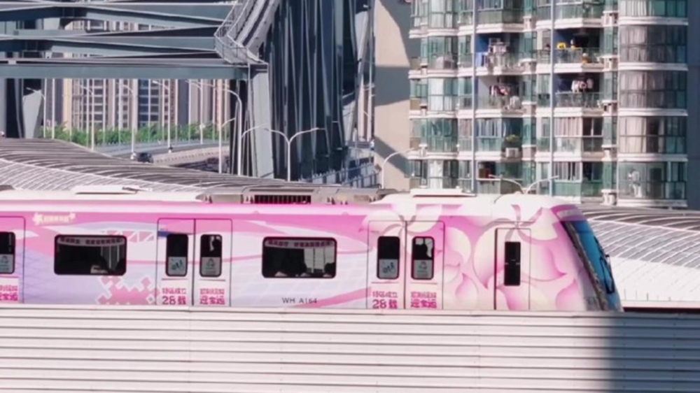 有片｜慶祝香港回歸祖國28周年，武漢「紫荊專列」正式發車