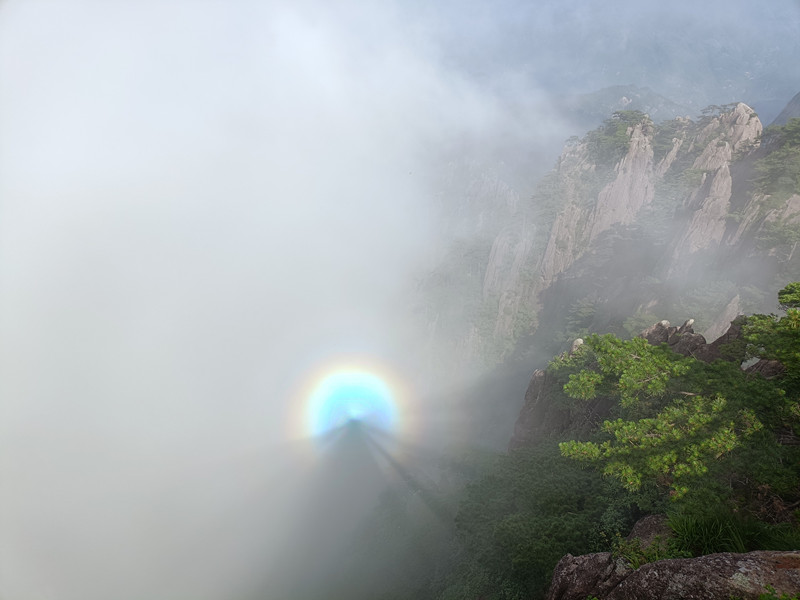 在黃山22℃的雲端仙境  重啟身心能量
