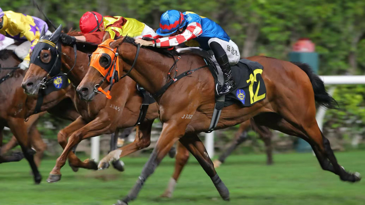 馬會據報擬售約78億黑石等美國資產