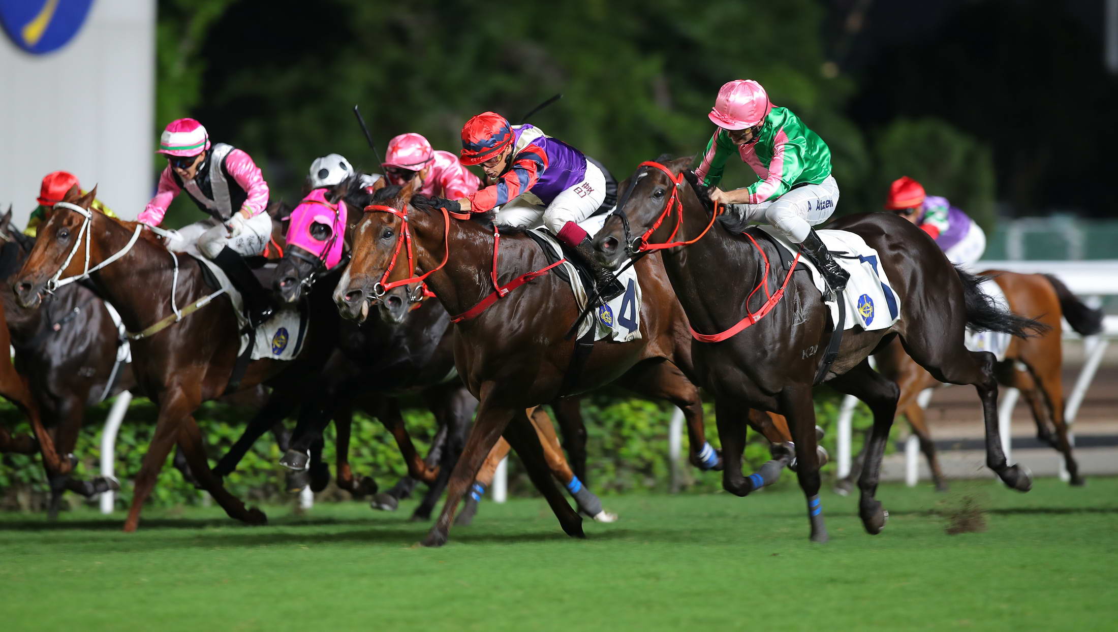 有片丨有目共賞後上捧盃 蔡約翰中三元  第13次贏練馬師冠軍