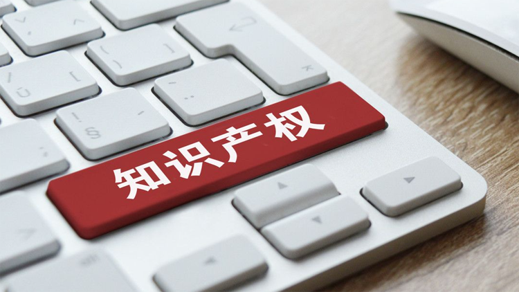 國家知識產權局：2024年中國知識產權使用費年進出口總額達3987.1億元