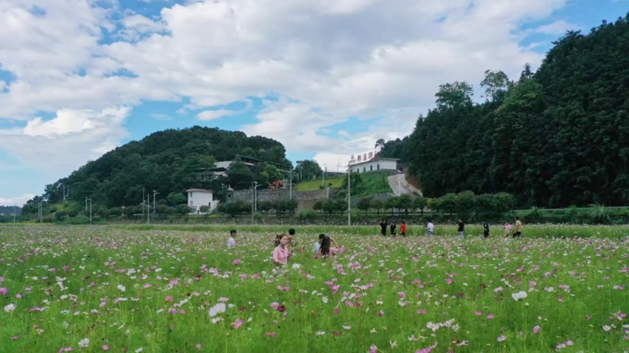 湖南桂陽縣：農文旅融合發展漸入佳境