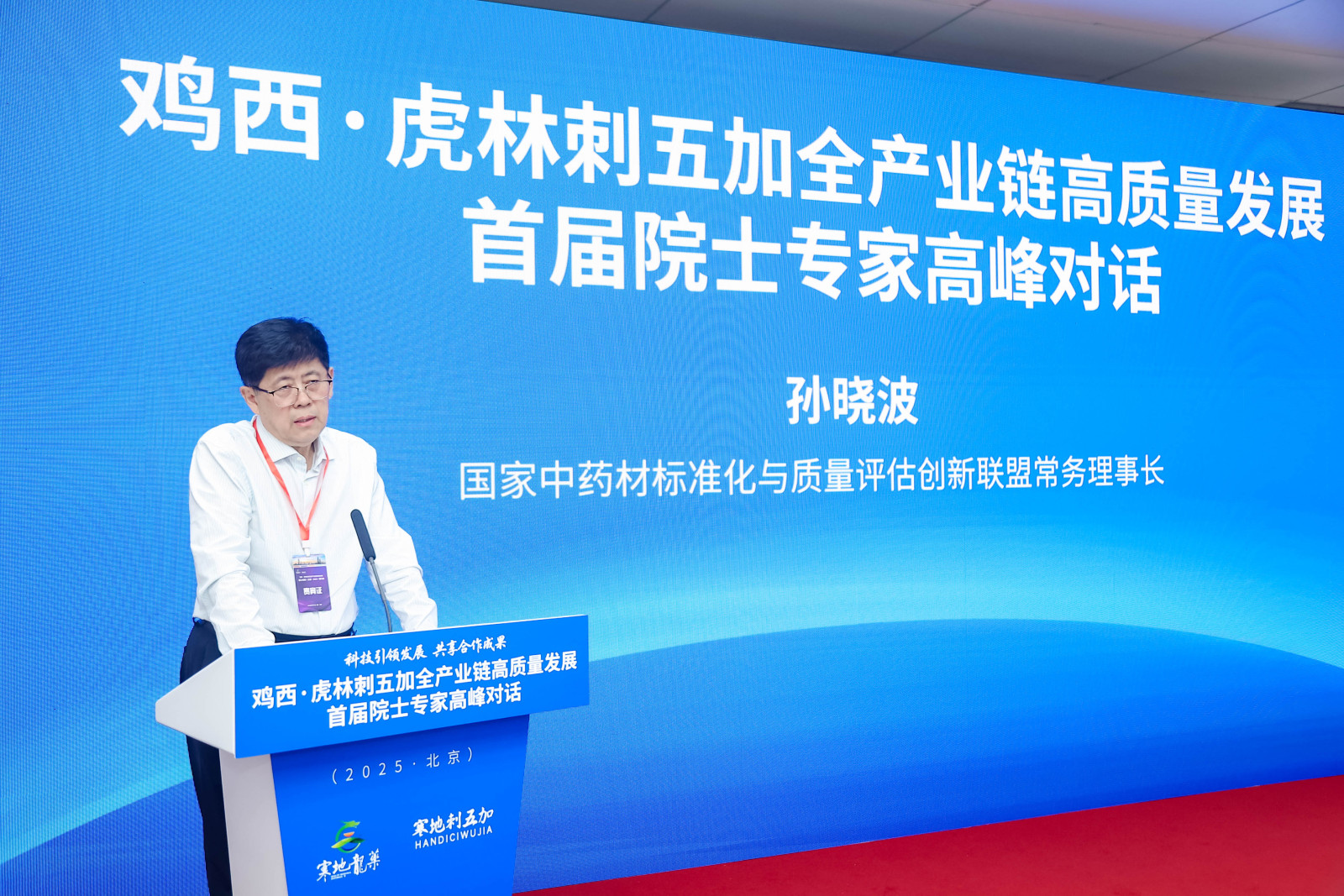 寒地龍藥·刺五加何以在「邊城」紮根結果成虎林市金名片