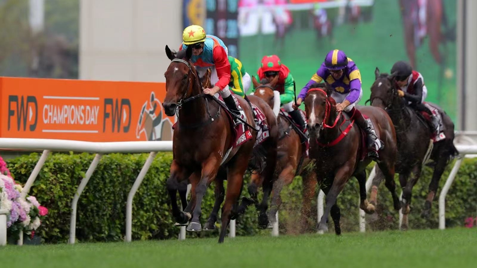 有片｜香港冠軍級佳駟閃耀世界舞台 應家柏：吸引全球馬迷注視