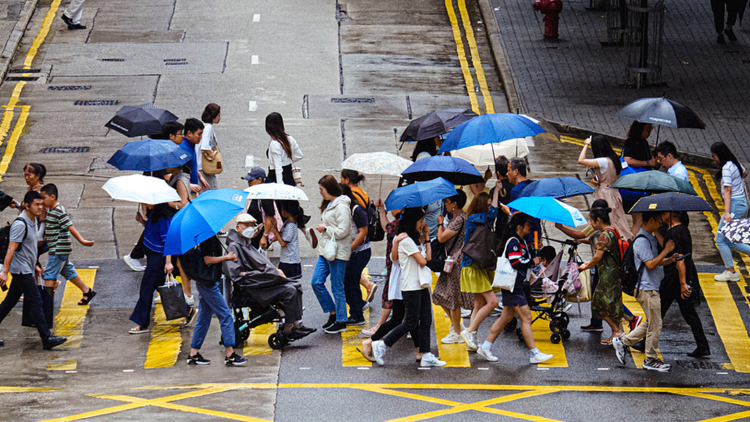 韋帕颱風︱新渡輪橫水渡航線尾班船提早開出