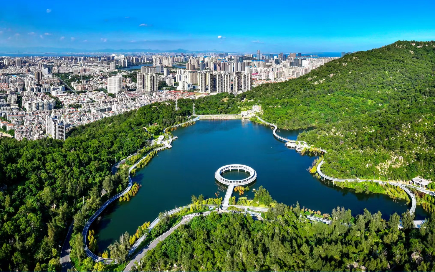 從「九八投洽會」到「永不落幕的營商服務」 僑企緣何在福建廈門扎堆生根？