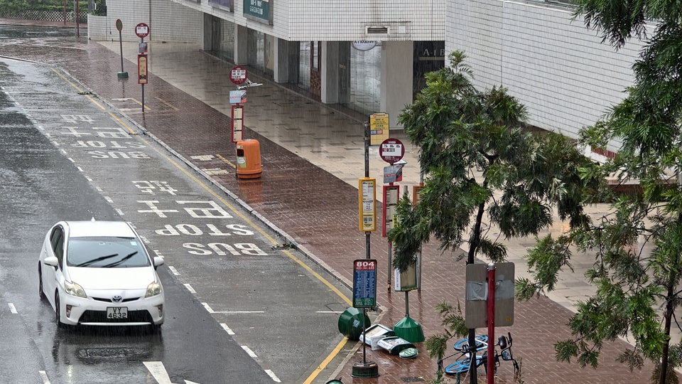 韋帕襲港｜33人風暴期間受傷 政府收到711宗塌樹報告及7宗水浸個案