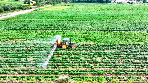 甘肅渭源種業振興 去年馬鈴薯產業鏈總產值達32億