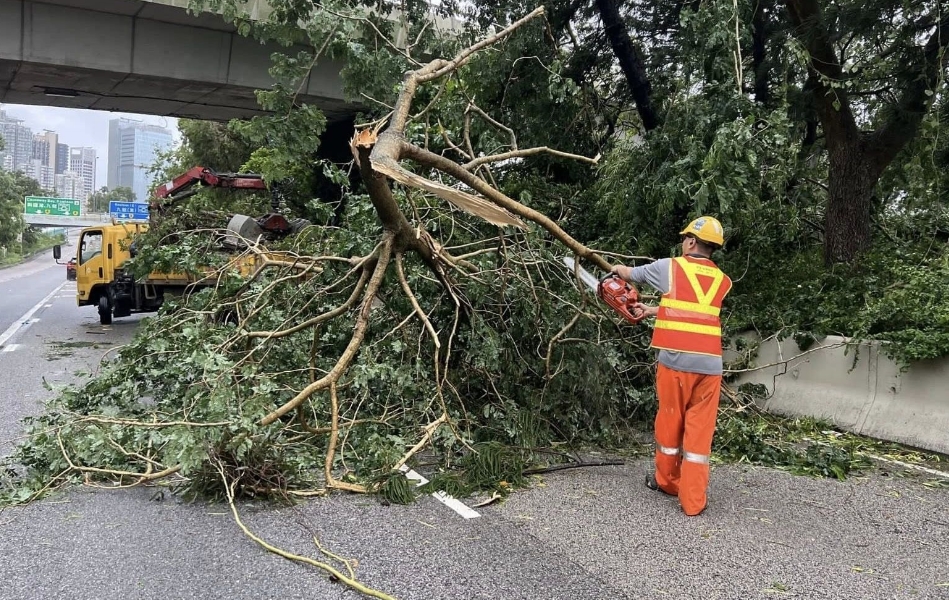 韋帕襲港｜葉劉淑儀：政府各部門不辭勞苦為民開路 值得一讚