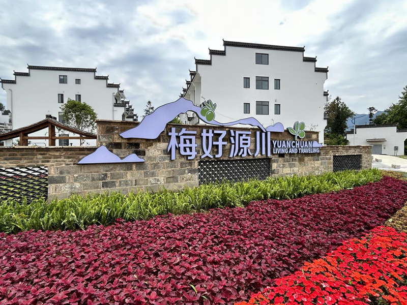 皖黟縣西遞鎮：青梅為鑰解鎖多元共富路徑