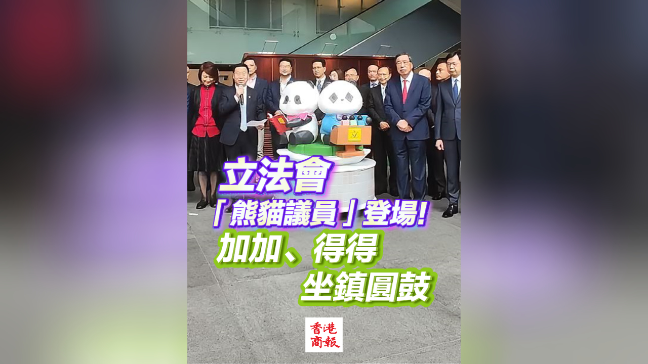 有片丨立法會「熊貓議員」登場！加加、得得坐鎮圓鼓