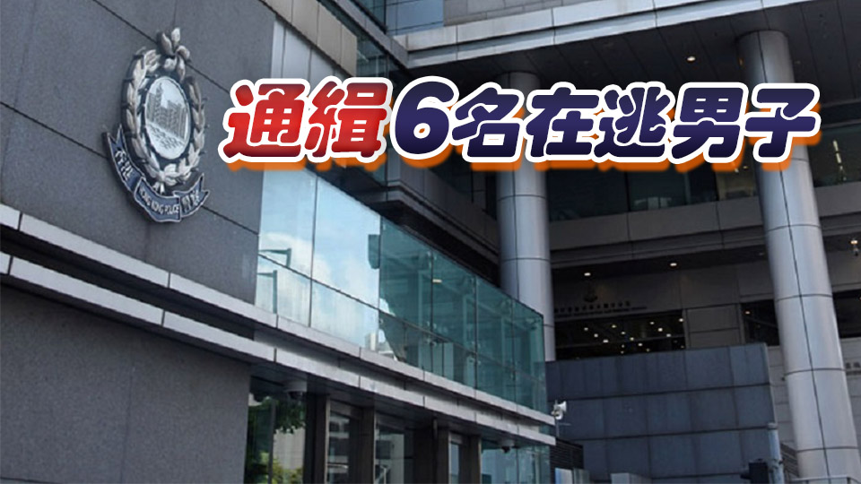 屯門瑣事起爭執男子被伏擊 警方一日閃電破案拘5人
