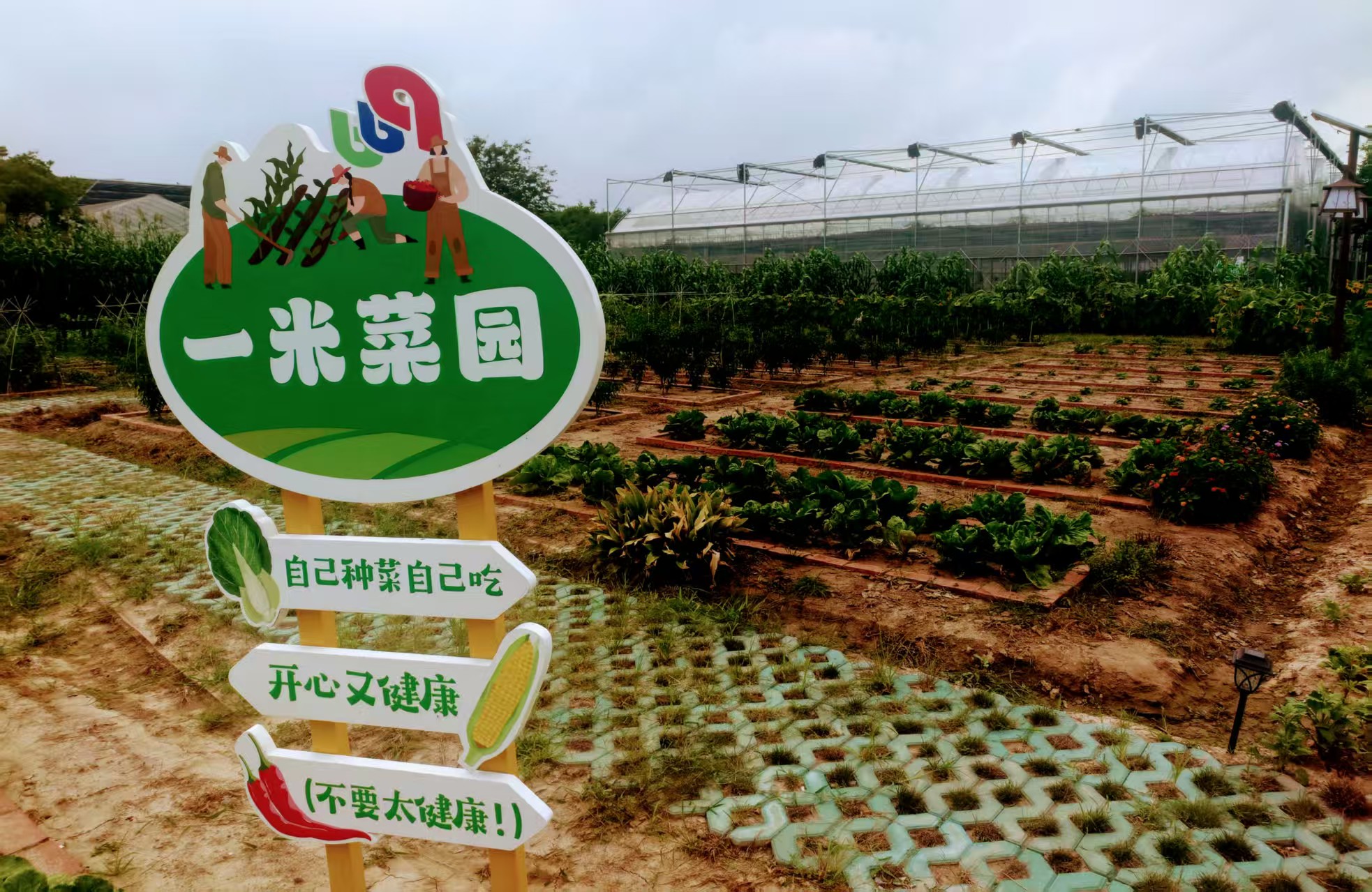 台商崇明669生態園再拓版圖康糖營培訓基地推「滬台好物」