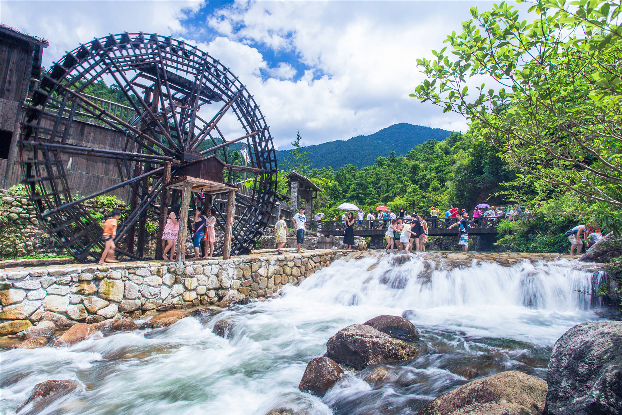 森林覆蓋率達99%  桂賀州姑婆山度假區引港客「大口吸氧」