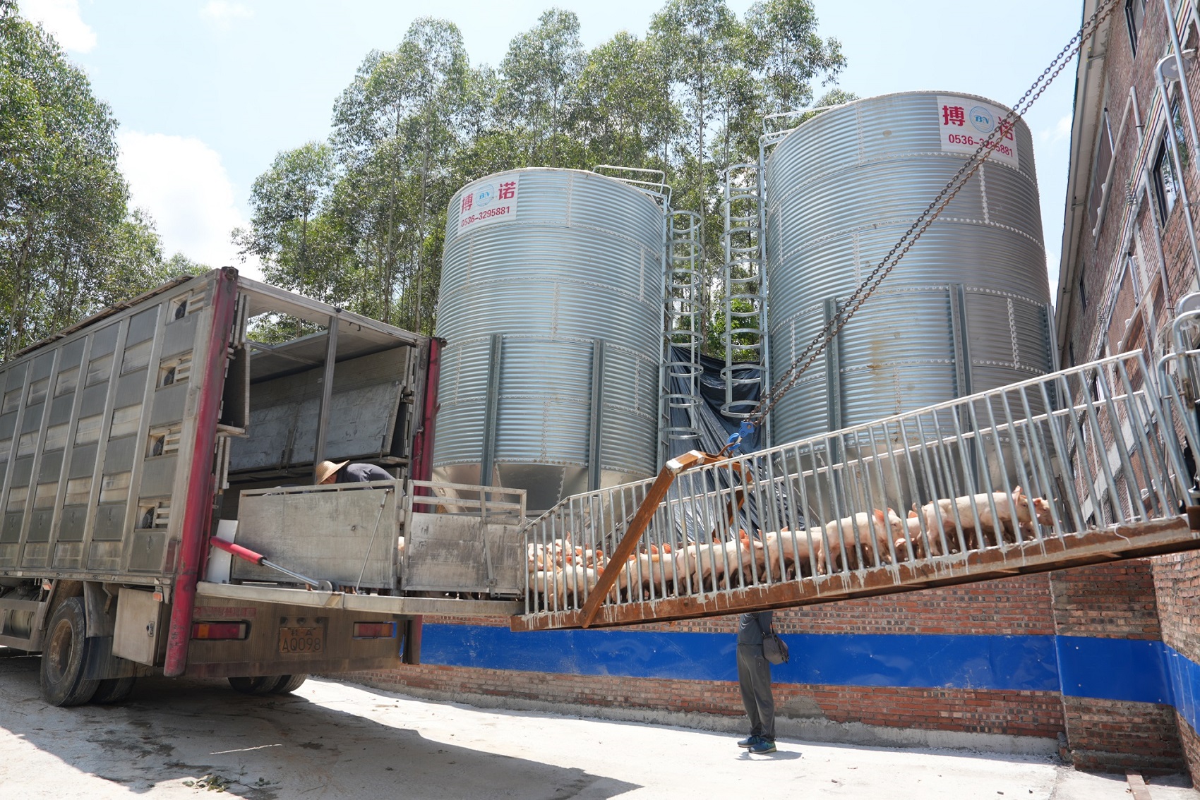 桂梧州長洲區：打造「一道·兩江三岸」產業帶