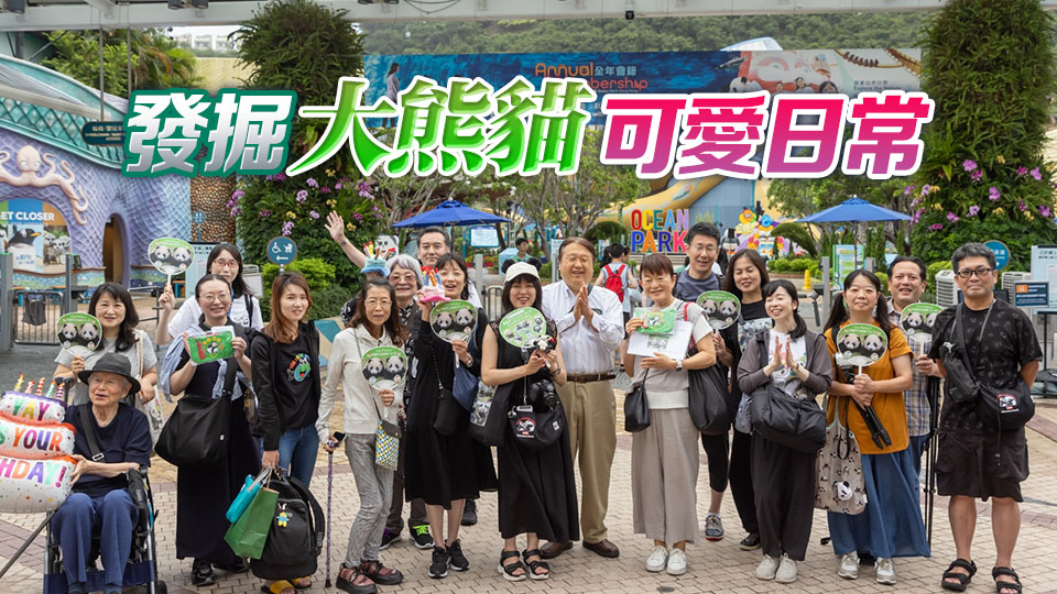 旅發局與日本旅行社乘熊貓熱策劃「大熊貓慶生遊港」之旅 賀大熊貓龍鳳胎一歲生日