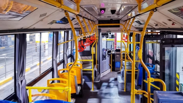 深圳新增兩條「文旅專線」！吃喝逛玩「一條龍」