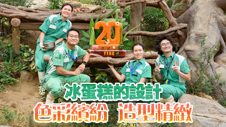 海洋公園為大熊貓「盈盈」和「樂樂」送上美食 慶祝20歲生日