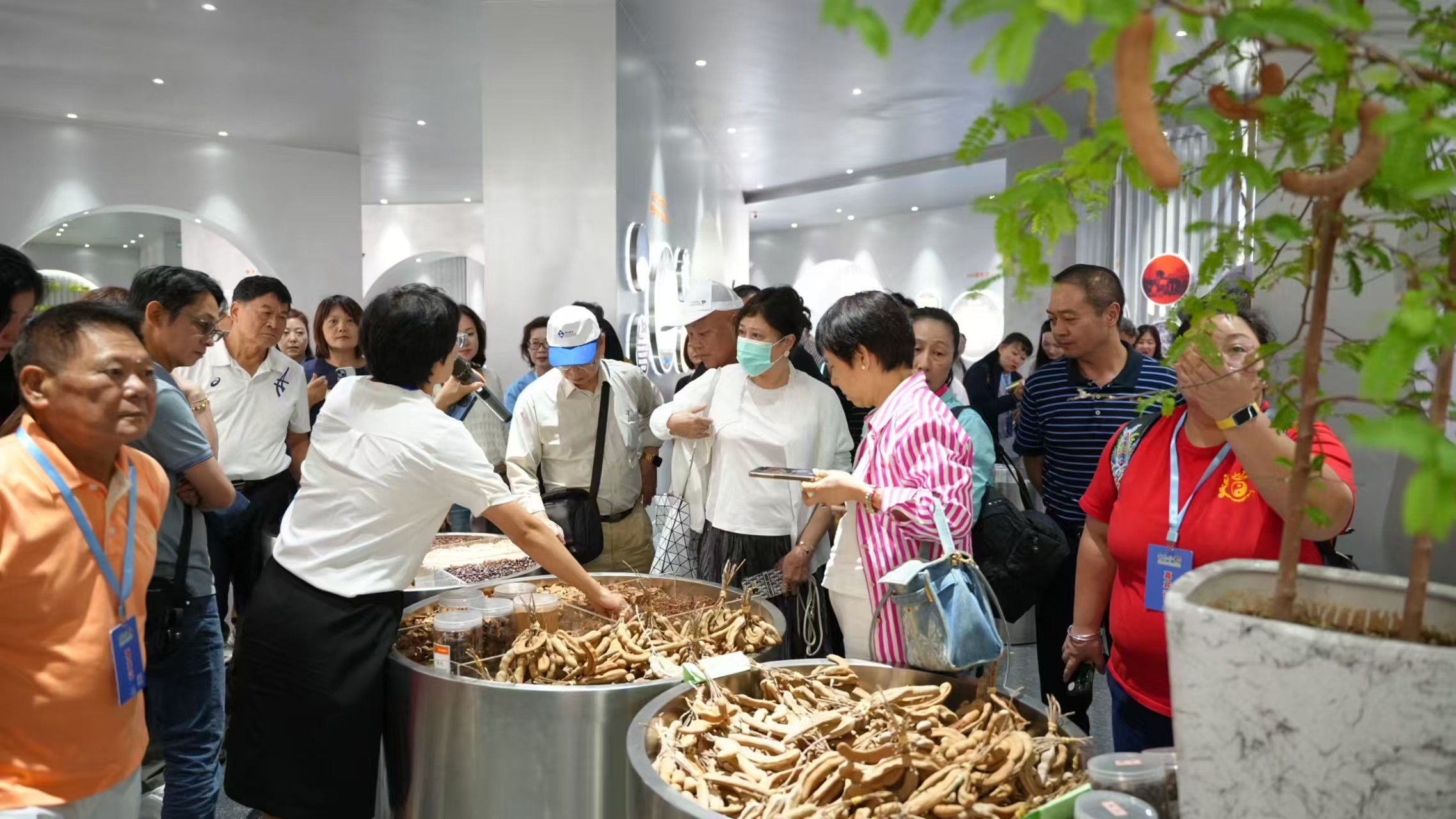 心手相連台商組團走進玉溪  以經貿合作促兩岸交流