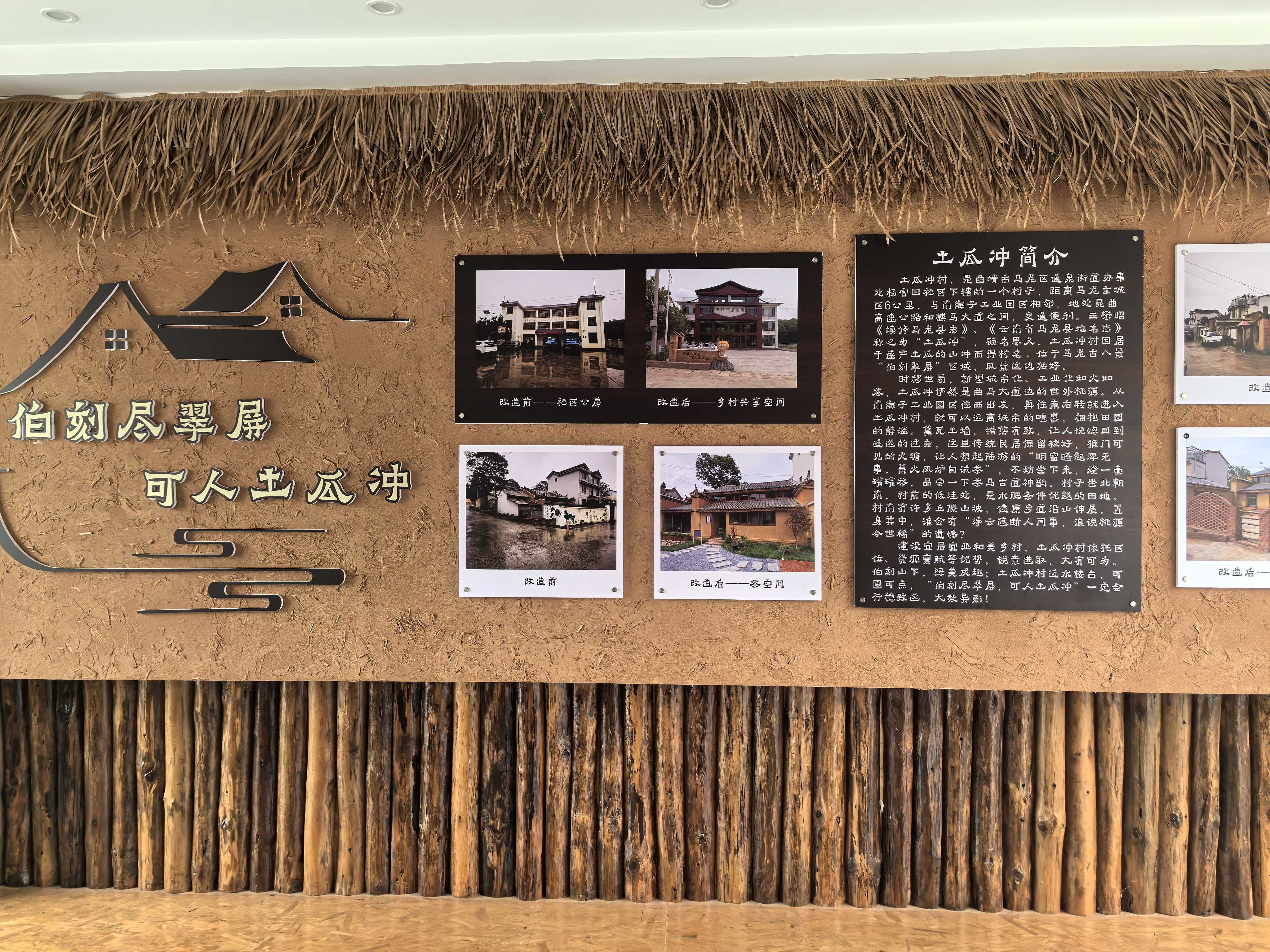 土瓜沖村：歸雁棲鄉野 青春答卷新