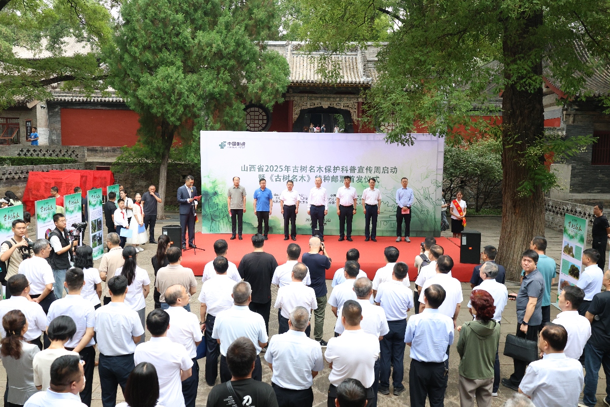 山西《古樹名木》特種郵票首發 10萬株古樹有了「護身符」