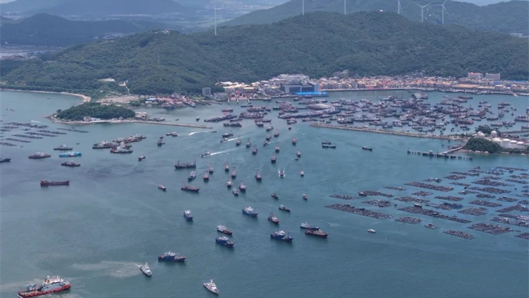 開漁！南海再現千帆競發名場面