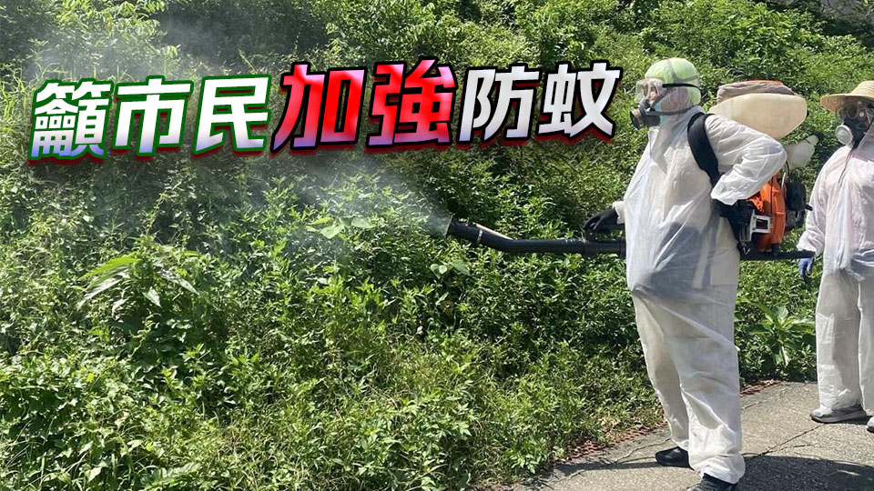 林文健：基孔肯雅熱輸入風險增加