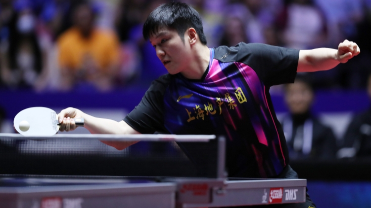 德甲：將全力保護樊振東隱私